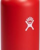 S21FS612_21 OZ STANDARD FLEX STRAW CAP GOJI S21FS612_21 OZ STANDARD FLEX STRAW CAP GOJI